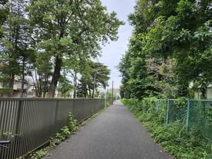 土佐婚倶楽部