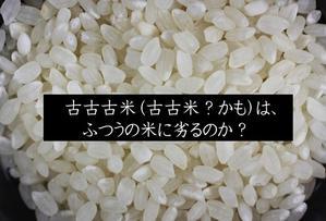 備蓄米（古古古米？）を食べてみた！ - ウクレレ弾き語り介護士きっちゃんの家