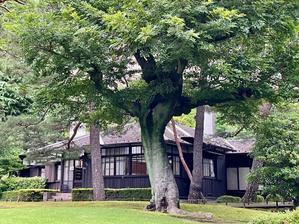 新緑の季節も良いけれど、やはり秋の方がオススメ。──「都立殿ヶ谷戸庭園」@国分寺 - Welcome to Koro's Garden！