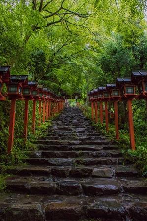 貴船神社～青もみじ - 山紫水明