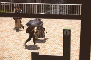 足早に歩く　♪ - Lovely Poodle