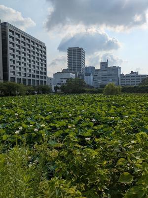 my sweet days Ⅱ