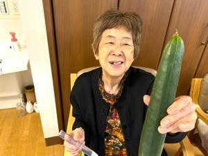 園芸やさい　収穫だっ！ - 花のん 「津市一志町・白山町」の職員日記です！