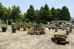 朝から「熱中症アラート」が出た～ - 季節の音色