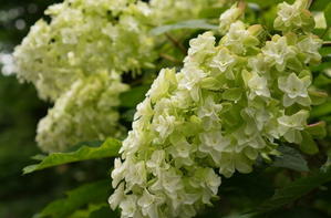 久し振りの相模原北公園 - ソナチネアルバム