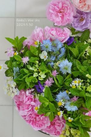 庭のブーケ*・13　(5月30日は、ナゾの個室？で) - FUNKY'S BLUE SKY