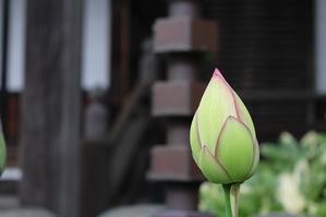 要支援１ - もちろんしあわせ