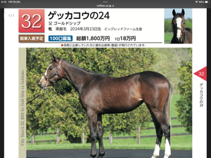 募集開始の時期になりました。/2025.7/7 - 馬主クラブの研究