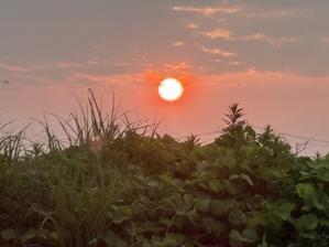 令和7年7月7日 - あいうえお