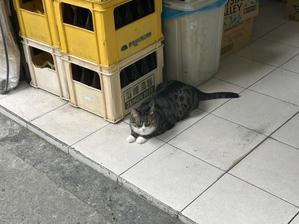 関税、高いですね～。 - 台湾国際結婚ってそんなにいいの？