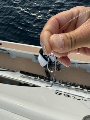 ７月７日 キハダ便 - 志摩沖 ほっぺ毛丸
