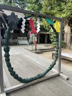 夏越大祓 - こんばんは！のんちゃんです