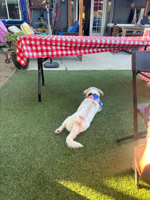 Fourth of July weekend - Where I belong