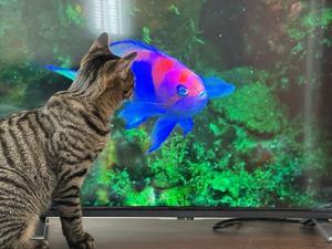 もうすぐデスバレー - 「両手のない猫」チビタと愉快な仲間たち
