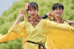 ２０２５ひめじ良さ恋まつりその２４（「⚪︎」屋〜祭流屋〜） - ヒロパンのよさこいライク・N-VANライフ