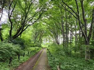 こんな夏もあったがや - 土佐婚倶楽部