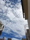 おばあちゃんのdiary　② - ランチ
