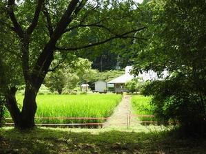 千葉県いすみ環境と文化のさとセンター