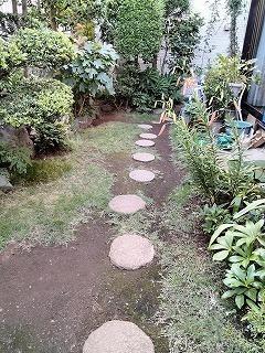 台風に応じて（7月14日、月、曇りのち晴れ）