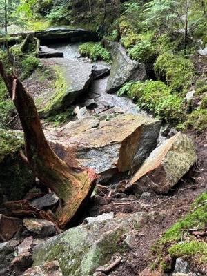 【緊急】千曲川源流遊歩道　登山道上に落石が確認されました - 小屋番の部屋