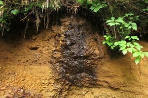 沢登りとイワナの燻製