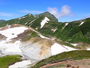 7月上旬の室堂周辺