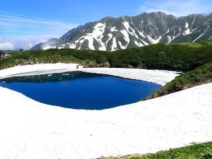 7月上旬の室堂周辺