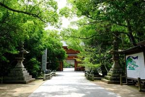 大山祇神社（おおやまづみ）