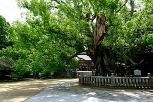 大山祇神社（おおやまづみ）
