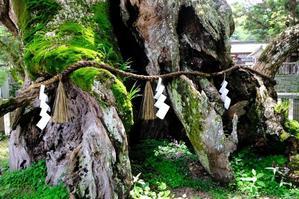 大山祇神社（おおやまづみ）