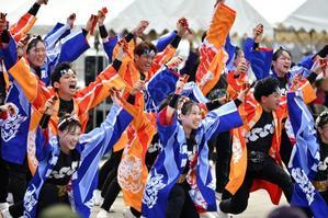 Sailing KOBE 2025-5　笑舞 - 祭りバカとは俺の事(仮)