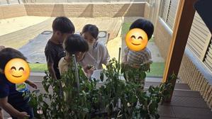 しなやかな森大在　ちいさな「できた！」の種をおおきな自信の花に！