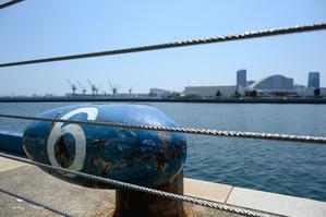 頭がくらくら　♪ - Lovely Poodle