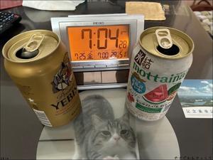 250725 ばんさんで昼飲み、COACHでカーディガン購入 - やさぐれ日記