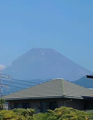 大学病院の検査結果と4毒抜き - 誰かのために　何かのために