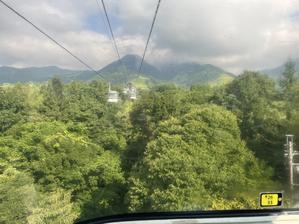 夏の栂池自然園へ - 今から・花