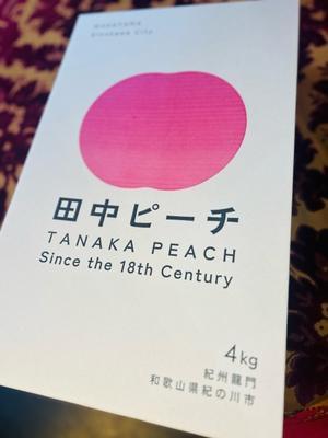 秋にも着れるTシャツ - complement