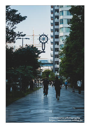 海へ - ♉ mototaurus photography