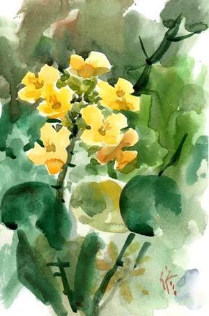 人気サラダ - 水彩画家 おさむ斉藤のブログ Artist Watercolor by Osamu Diary