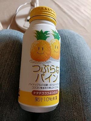 熱中症に負けたくない！(願望) - 北の町であれこれ暮らす
