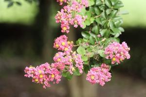 パティオの花壇 - 四季折々
