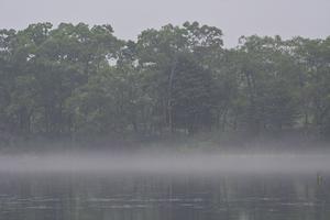 夏の気嵐　～　今週のウトナイ湖 - やぁやぁ。