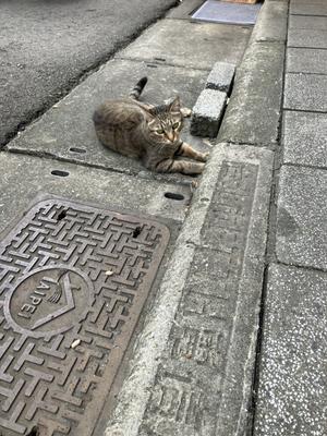 台湾国際結婚ってそんなにいいの？