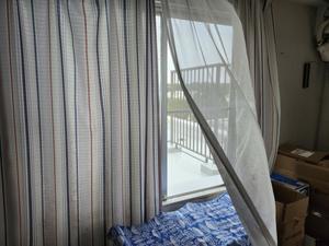 8月は涼しいスタートですが？ - 土佐婚倶楽部