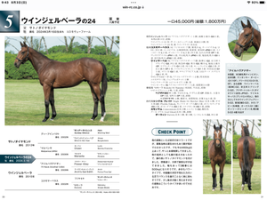 今週アイビスSD/2025.8/3 - 馬主クラブの研究