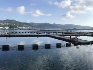 ８月3日　今日はじゃのひれデー - 淡路じゃのひれフィッシングパークblog