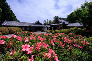 花景色－K.W.C. PhotoBlog