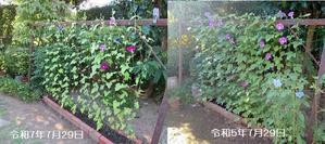 暑さに立てているのは人間だけじゃない - ほろ酔ゐ「聖蹟桜ヶ丘」日記
