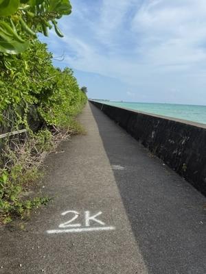 6.7km のウォーキング。 - 沖縄の風