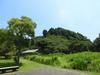 千葉県いすみ環境と文化のさとセンター - ヘクソカズラの花が咲き始めました